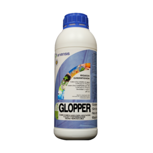 Glopper