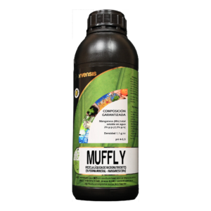 Muffly
